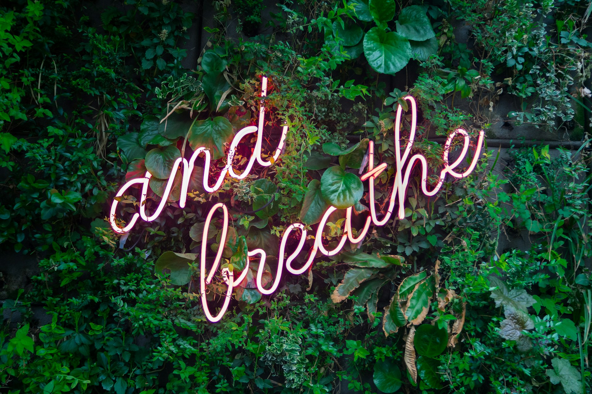 a NEON SIGN SAYING 'AND BREATHE'